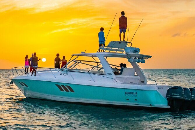 Snorkeling Activity on Turks and Caicos Islands - An In-Depth Look at the Snorkeling Tour