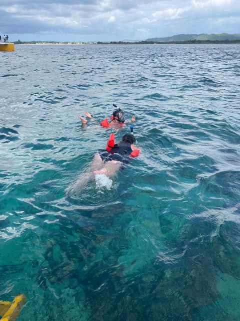 Snorkeling Activity With Boat Ride in Montego Bay - Itinerary Highlights