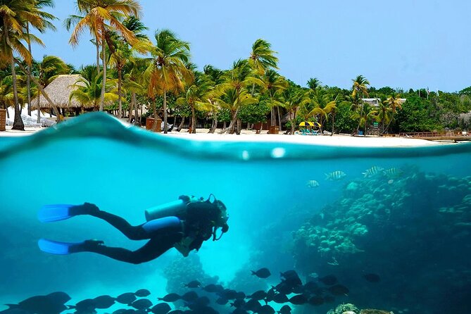 Snorkeling Adventure and Explore Catalina Island From Punta Cana - Booking Your Stay