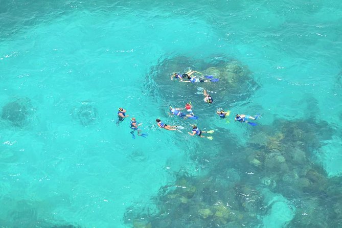 Snorkeling Adventure at Isla Mujeres Includes Lunch and Open Bar - Meal and Beverage Options