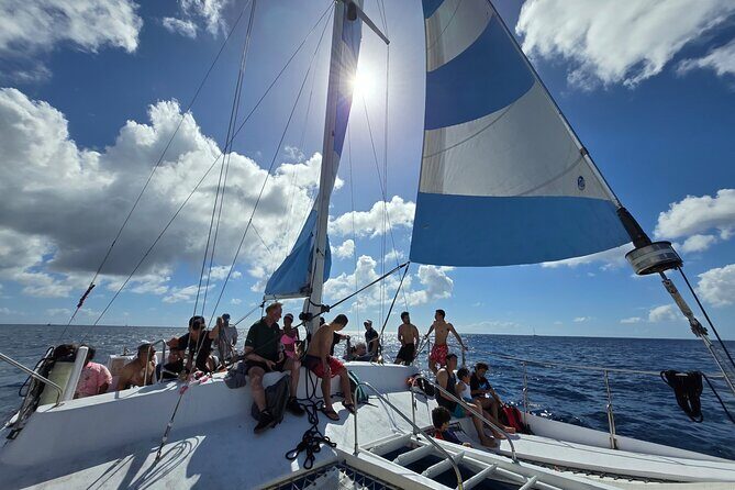 Snorkeling Adventure at Turtle Canyon - Authentic Experiences from Reviews