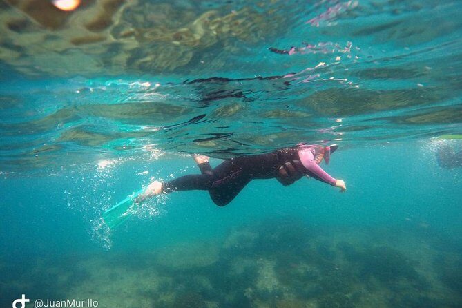 Snorkeling Adventure Cabo Pulmo - An Overview of the Cabo Pulmo Snorkeling Tour