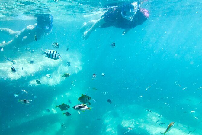 Snorkeling Adventure for Kids with Private Guide In Sydney - FAQ