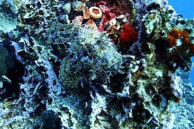Snorkeling Adventure in Athenian Riviera - Booking and Cancellation