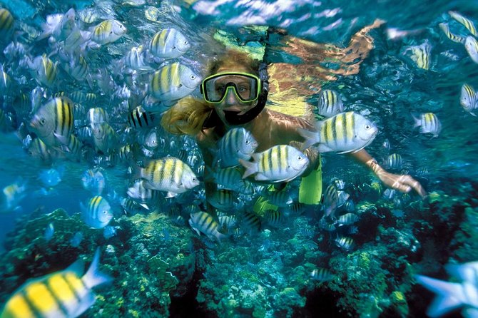 Snorkeling Adventure in Isla Mujeres - Frequently Asked Questions