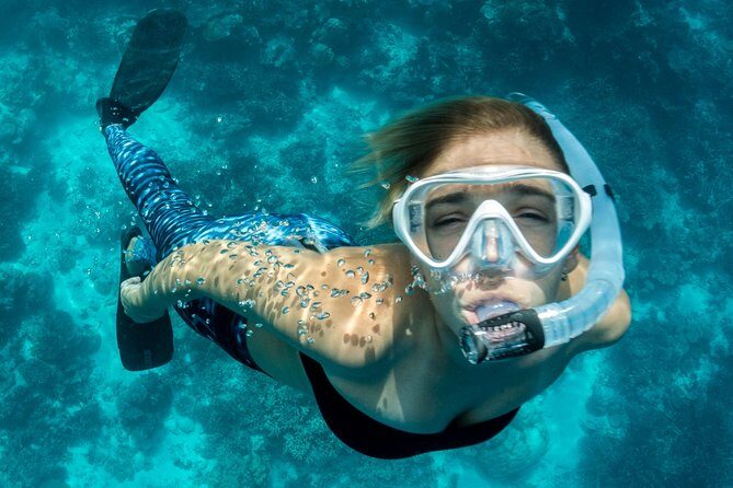 Snorkeling Adventure in La Jolla - Key Points