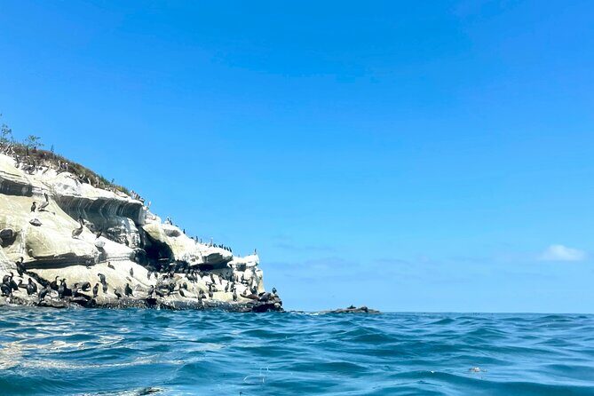 Snorkeling Adventure in La Jolla - Authentic Experiences from Travelers