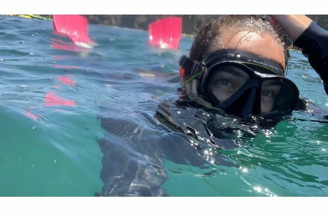 Snorkeling Adventure in La Jolla - The Value Proposition