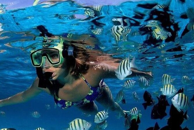 Snorkeling Adventure in St Lucia - Guest Reviews and Ratings