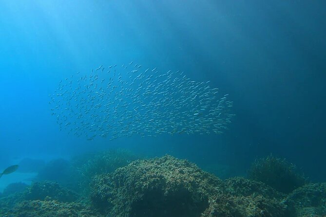 Snorkeling Adventure in the Southern Coves of Menorca - Inclusions