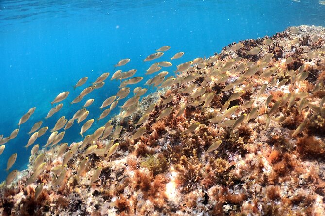 SNORKELING ADVENTURE | Pula Boat - Additional Important Information