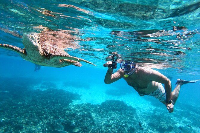 Snorkeling Adventure to Daymaniat Islands - Meeting and Pickup Details