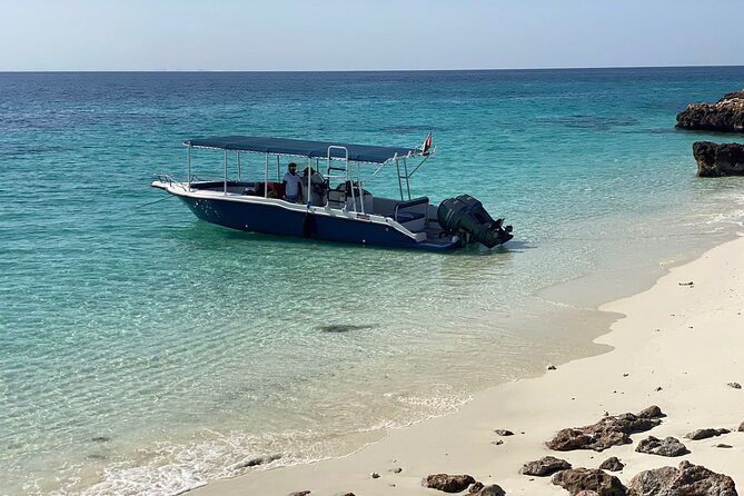 Snorkeling Adventure to Daymaniat Islands - What to Expect