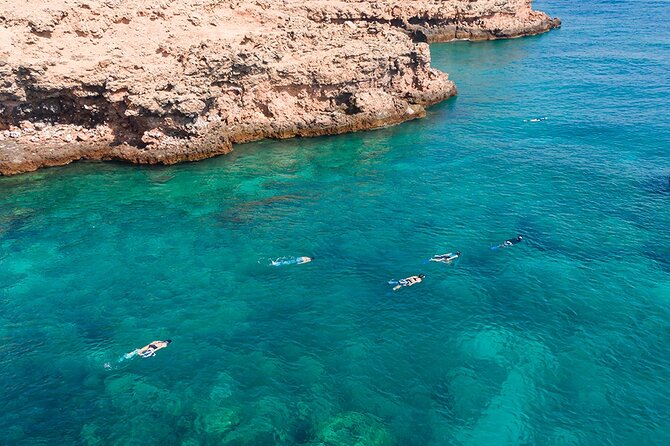Snorkeling Adventure to Daymaniat Islands - Highlights of the Islands