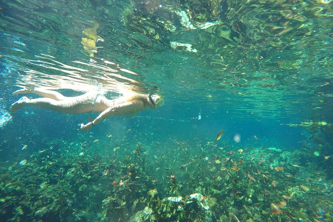 Snorkeling Adventure Tour Reef & Cenote - Unique Experiences