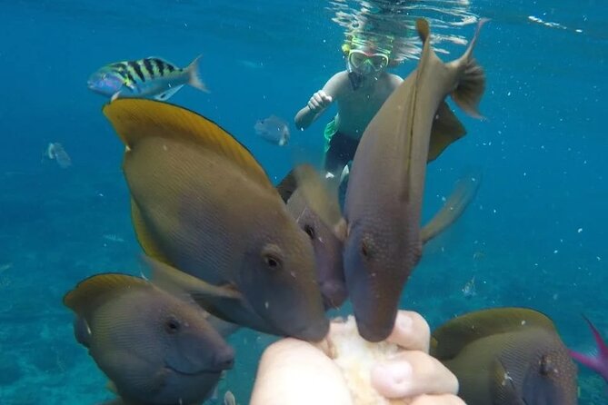 Snorkeling Adventure With East Nusa Penida Tour All Inclusive - Crossing From Bali to Nusa Penida