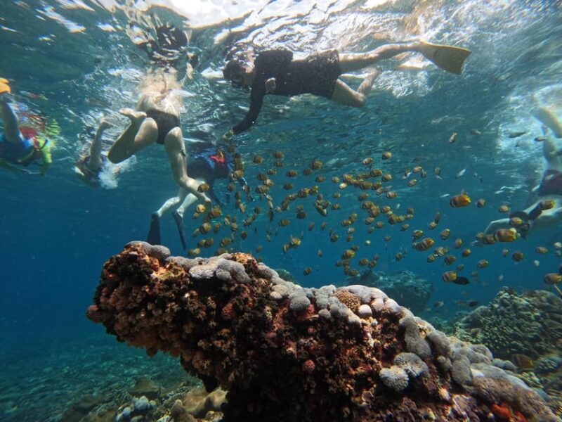 Snorkeling Adventure With Lucky Snorkeling - Booking and Cancellation Policy