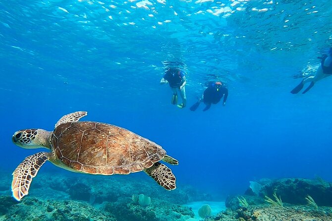 Snorkeling Aguadilla for Families With Children - About Your Stay
