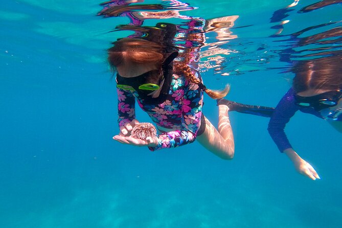 Snorkeling Aguadilla for Families With Children - What to Expect During the Trip