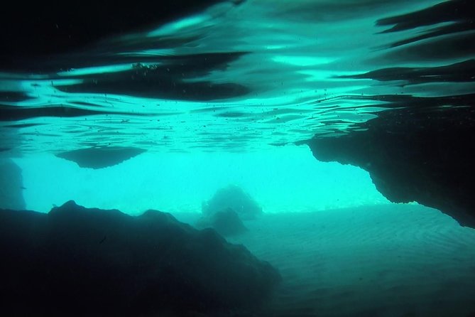 Snorkeling Among the Underwater Caves of Ischia Ponte - Inclusions and Accessibility