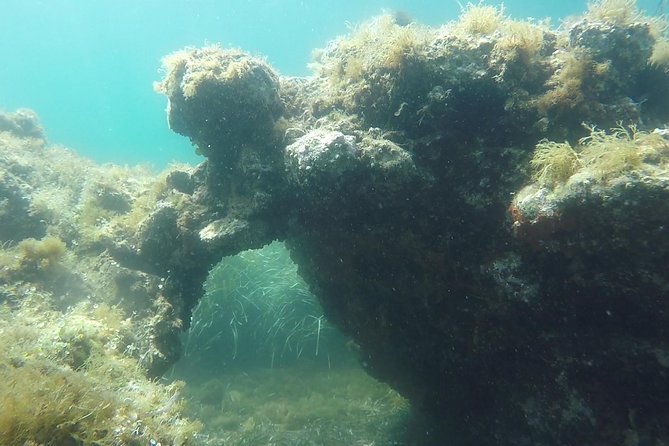 Snorkeling Among the Underwater Caves of Ischia Ponte - Discovering Roman Ruins Underwater
