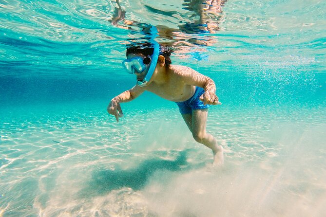 Snorkeling and Dolphin Watching Experience in Destin - Accessibility and Participation