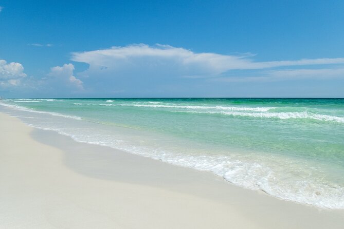 Snorkeling and Dolphin Watching Experience in Destin - What to Expect Onboard