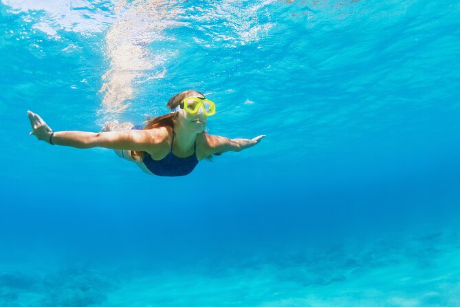 Snorkeling and Dolphin Watching Experience in Destin - Memorable Moments Captured