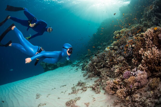 Snorkeling and Freediving Trip Around Nusa Penida - Meeting and Transportation