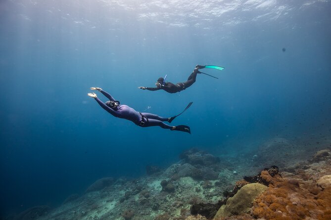 Snorkeling and Freediving Trip Around Nusa Penida - Sustainable Tourism Practices
