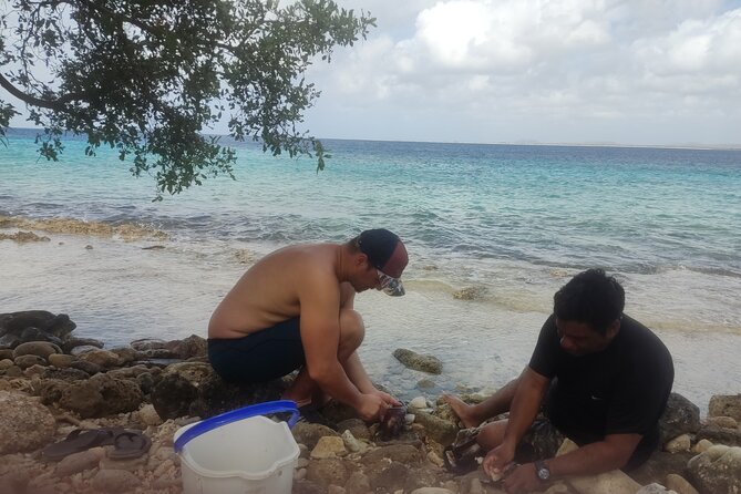 Snorkeling and Grilling Fresh Fish at Donkey Beach - Traditional Fishing Techniques