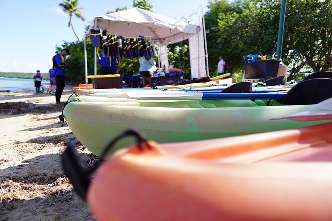 Snorkeling and Kayak Eco-Experience - Customer Feedback and Experiences