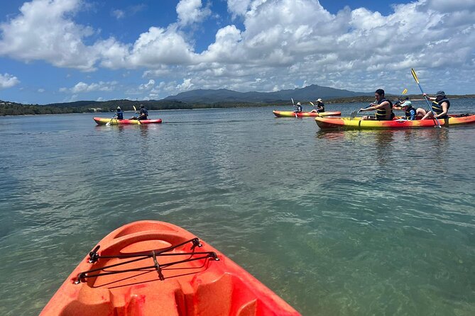 Snorkeling and Kayak Eco-Experience - Sustainable Practices