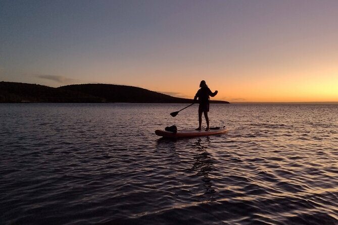 Snorkeling and Paddle Boarding Adventure in La Paz - What to Expect from the La Paz Snorkeling and Paddleboarding Tour