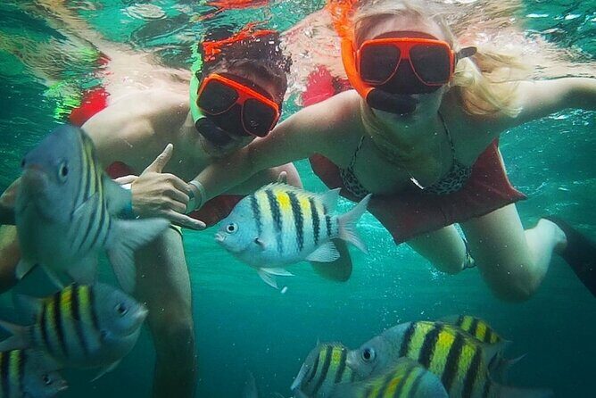 Snorkeling and Shopping in Montego Bay with Hotel pickup - Analyzing the Value