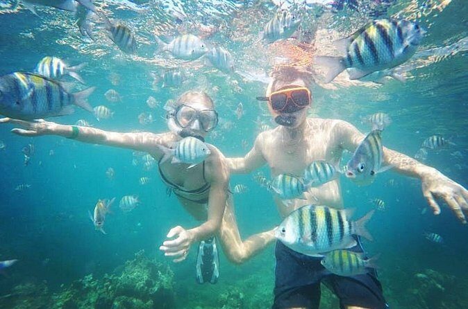 Snorkeling and Shopping in Montego Bay with Hotel pickup - Who Will Love This Tour?