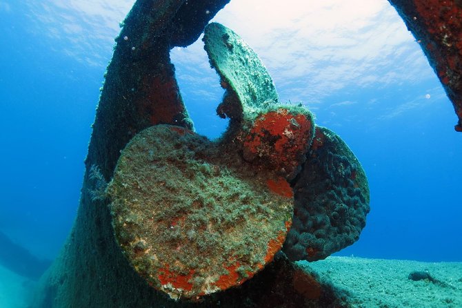 Snorkeling and Swimming Tour to the Poseidons Temple at Sounio Cape - Customer Reviews