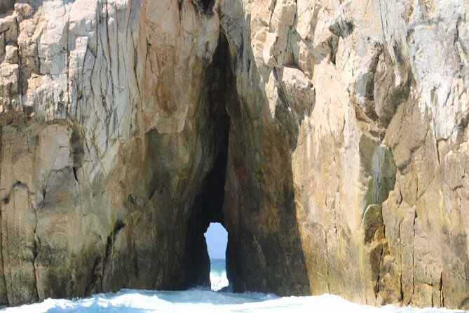 Snorkeling and Whale Watching Tour in Cabo - Customer Reviews
