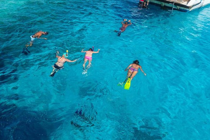 Snorkeling and White Island Tour in Sharm El Sheikh - Pricing and Payment