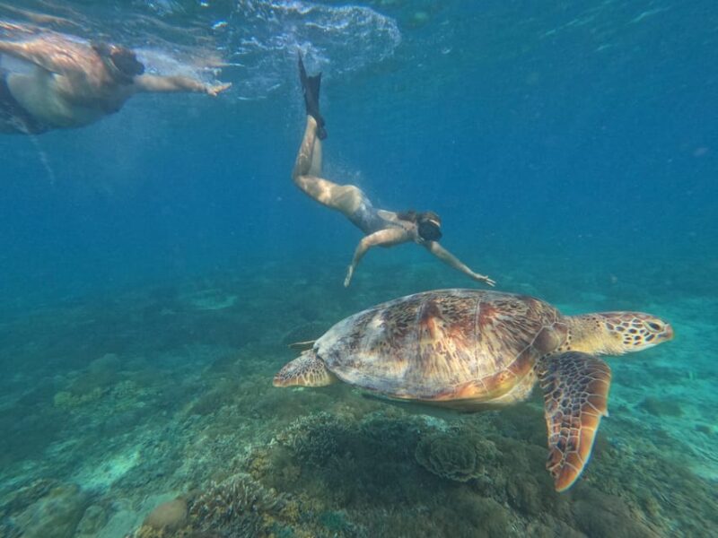Snorkeling Around 3 Island & Turtle Sanctuary - Suitability and Age Limit