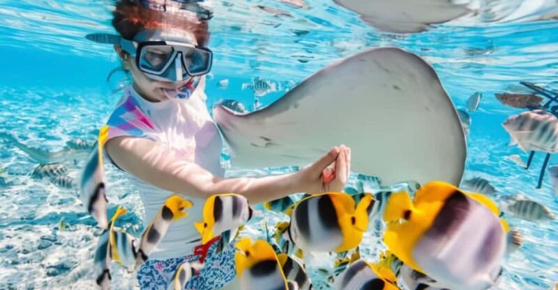 Snorkeling at Blue Lagoon and Kanto Lampo Waterfall - Key Points