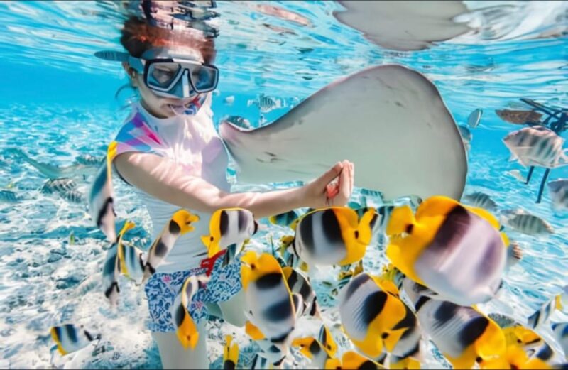 Snorkeling at Blue Lagoon and Kanto Lampo Waterfall - Itinerary Details