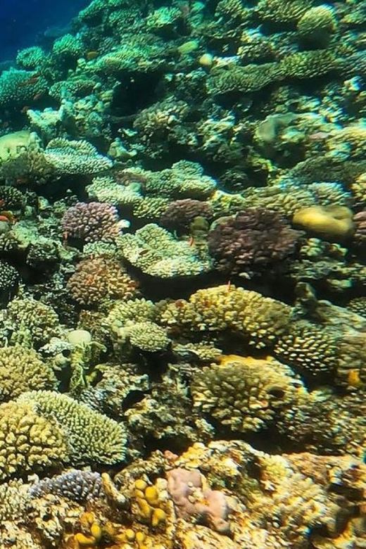 Snorkeling at Blue Lagoon and Kanto Lampo Waterfall - Snorkeling Highlights