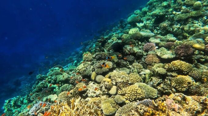 Snorkeling at Blue Lagoon and Kanto Lampo Waterfall - Important Considerations