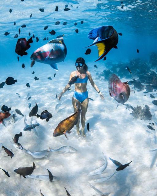 Snorkeling at Blue Lagoon and Waterfall - All Inclusive - Activity Itinerary