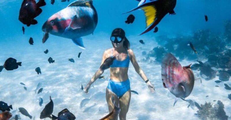 Snorkeling at Blue Lagoon and Waterfall - All Inclusive - Pricing and Inclusions