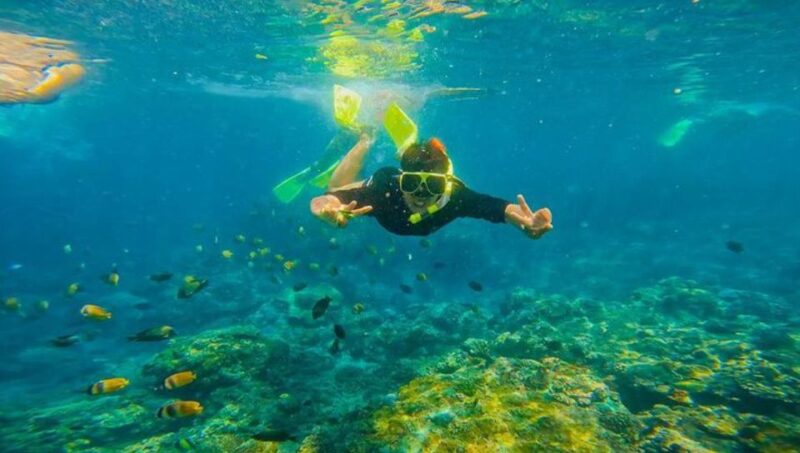Snorkeling at Blue Lagoon and Waterfall - All Inclusive - Customer Feedback