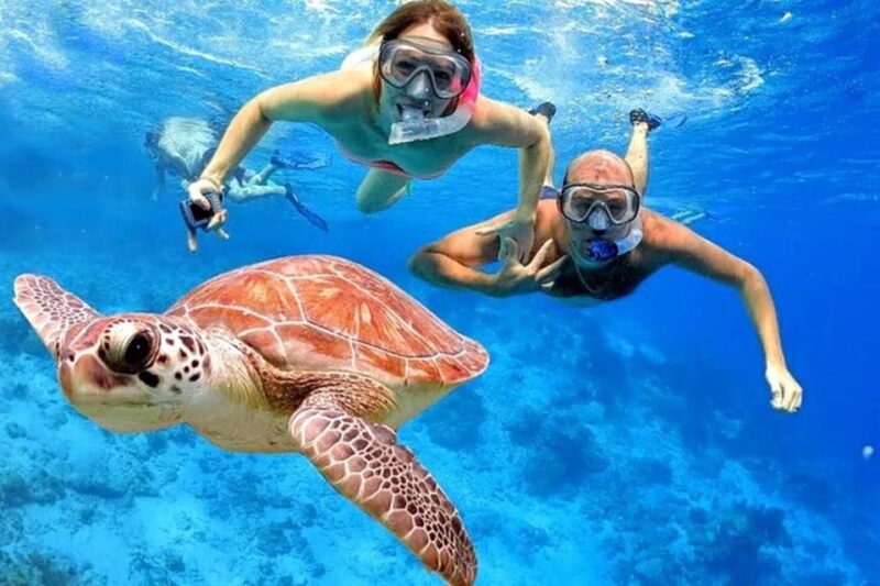 Snorkeling at Blue Lagoon Bali With Lunch and Transport - Key Points