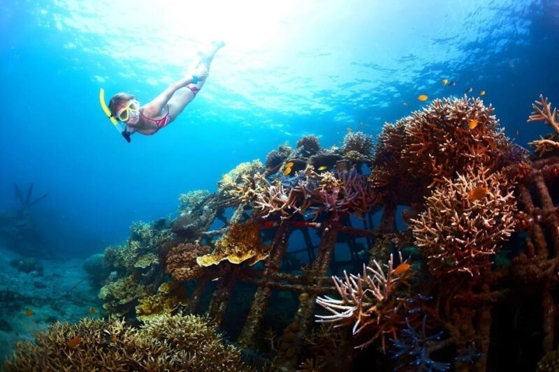 Snorkeling at Blue Lagoon Bali With Lunch and Transport - Booking Details