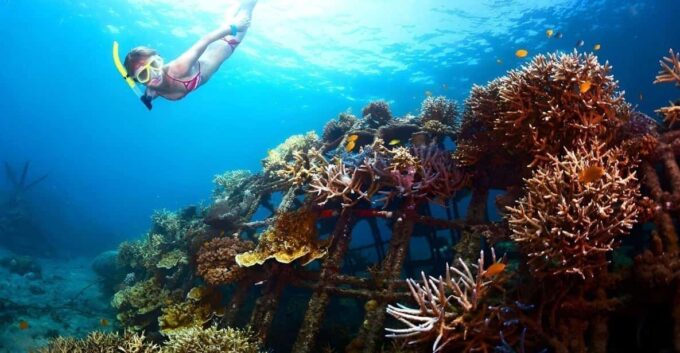 Snorkeling at Blue Lagoon Bali With Lunch and Transport - Cancelation Policy